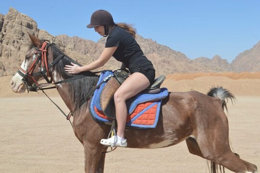 Hurghada Horseback Riding Adventure