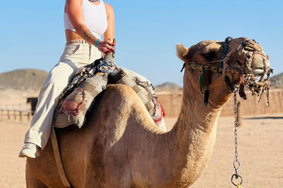 Hurghada Super Safari Trip
