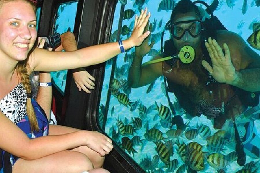 Semi Submarine Royal Sea Scope